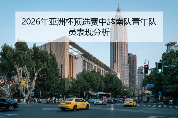 2026年亚洲杯预选赛中越南队青年队员表现分析
