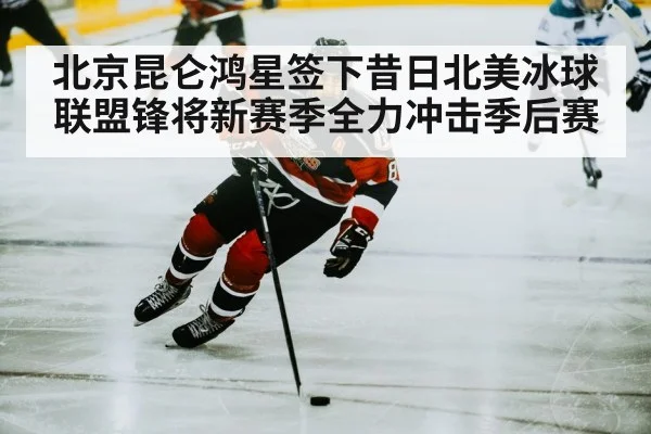 北京昆仑鸿星签下昔日北美冰球联盟锋将新赛季全力冲击季后赛